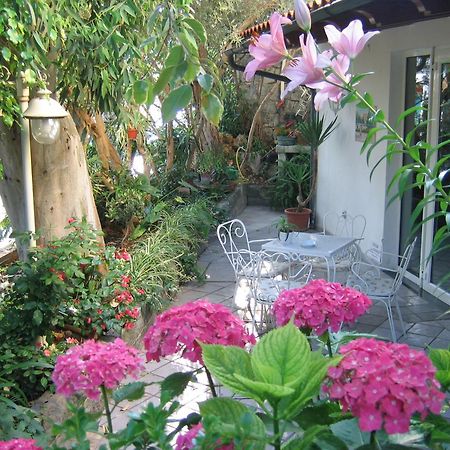 Hotel Europa Ischia Exterior foto